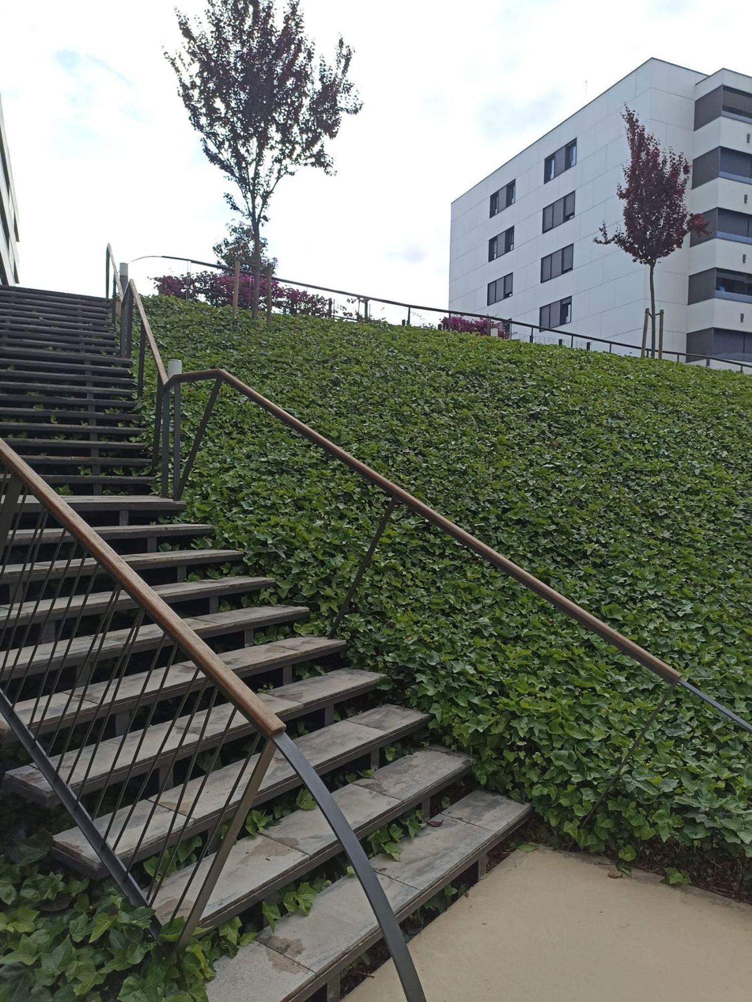 Piso en calle de Emilia Guàrdia i Arbusi, 4 - Foto 17