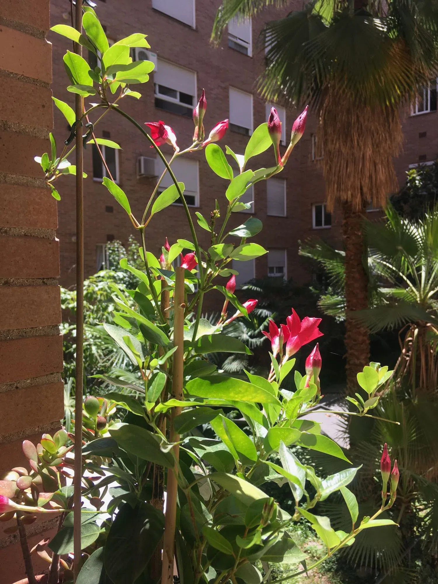 Piso en calle de la Batalla del Salado, 8 - Foto 8