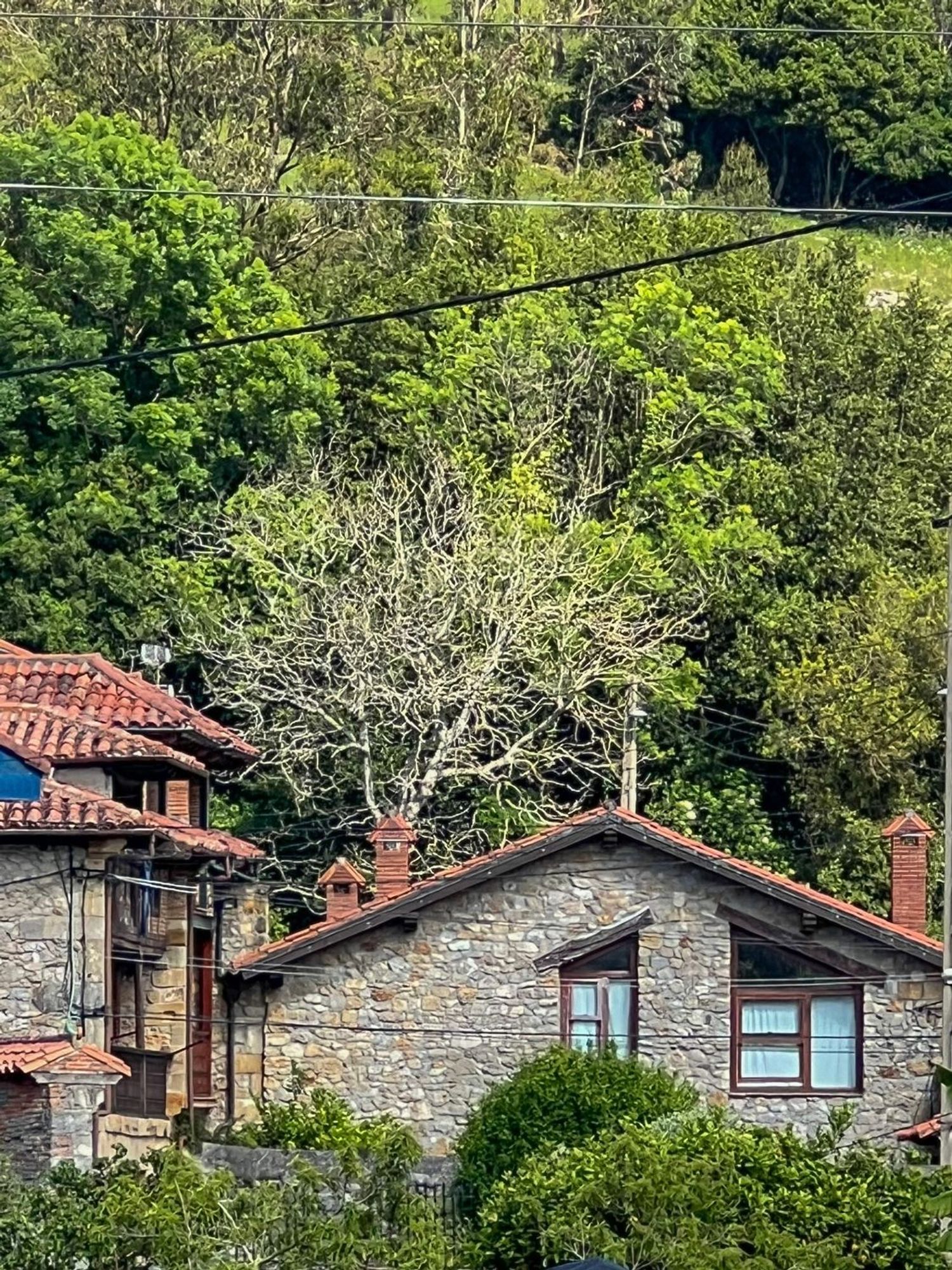 Piso en Barrio Viallan, 257 - Foto 3