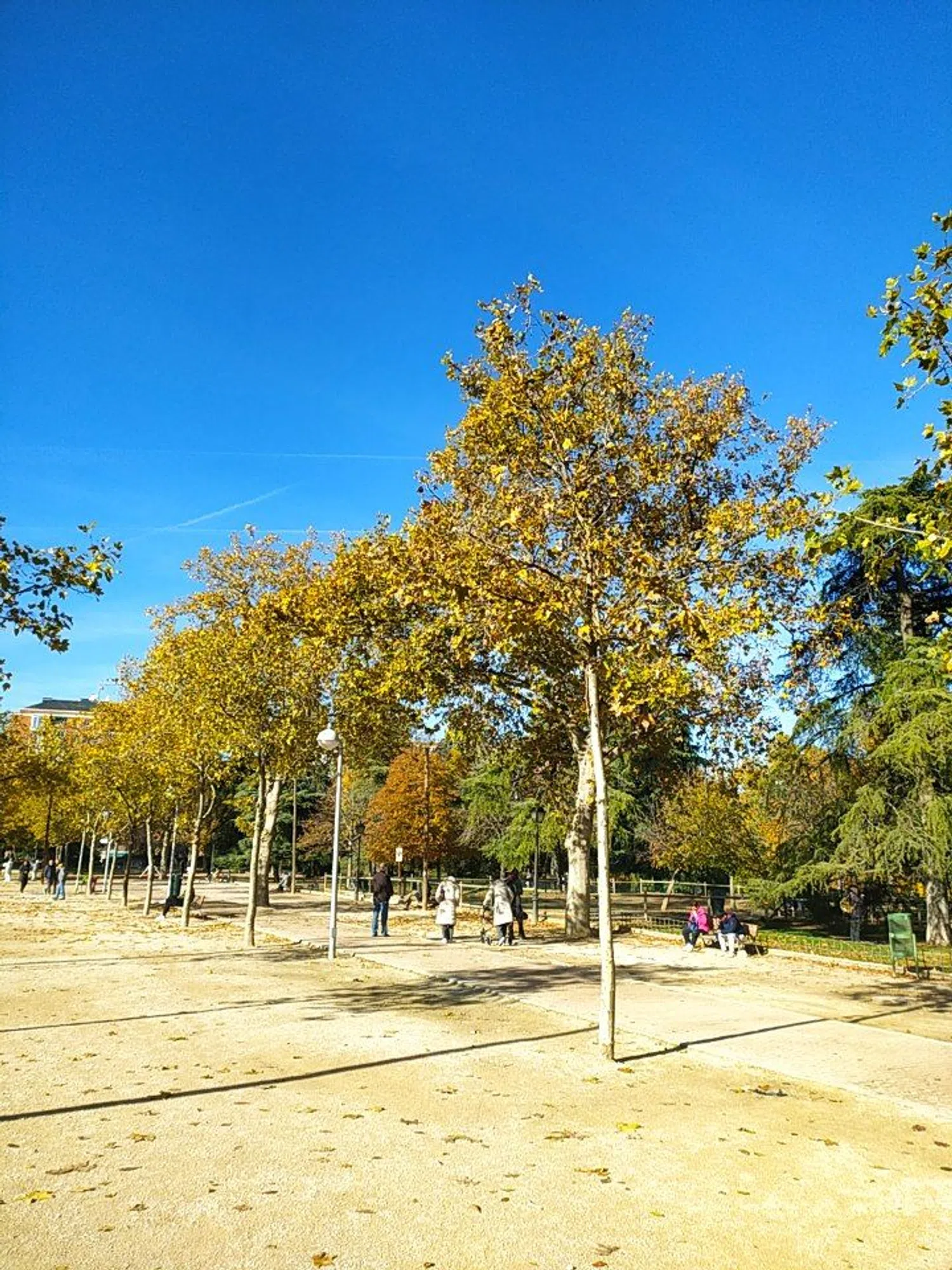 Piso en calle de Benigno Soto, 9 - Foto 25