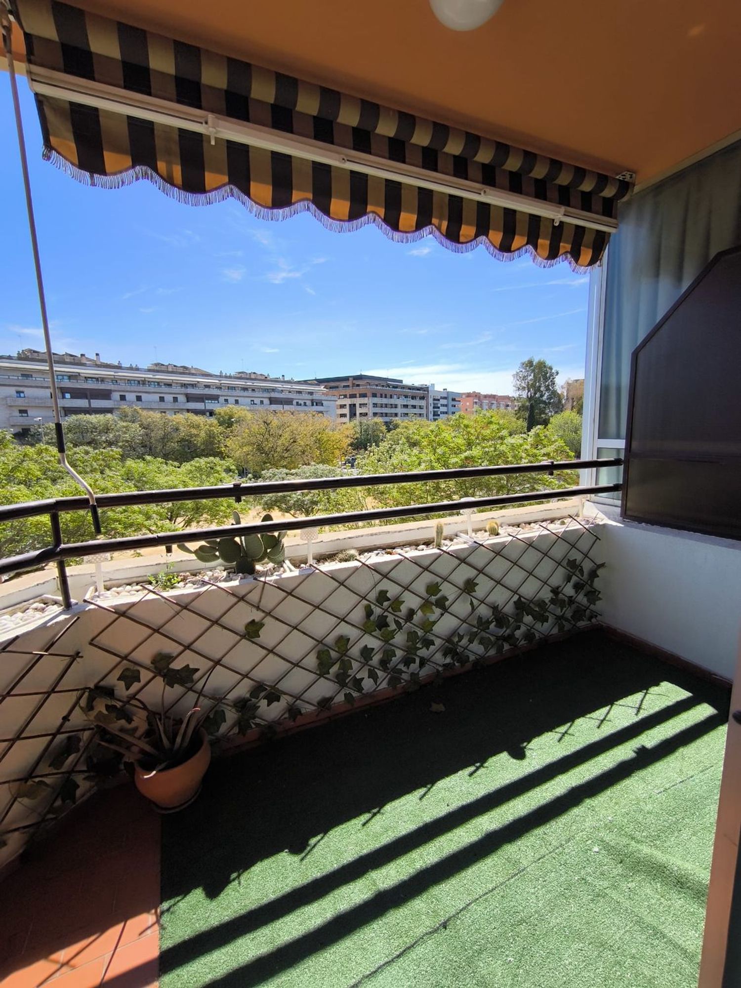 Piso en calle Doctor Pedro de Castro, 8 - Foto 11