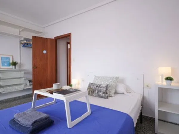 Piso en Calle del Doctor Vicente Pallarés, 12, L'Amistat - Foto 48