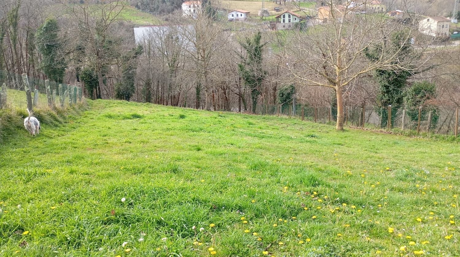 Casa independiente en Carbayin-Lieres-Valdesoto - Foto 6