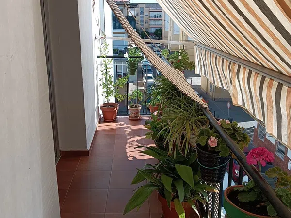 Piso en Calle Geranio, 8, Pio Xii - Foto 4