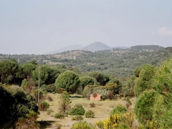 Casa rural en Camino Diseminado Camino Pozuelo s/n - Foto 5