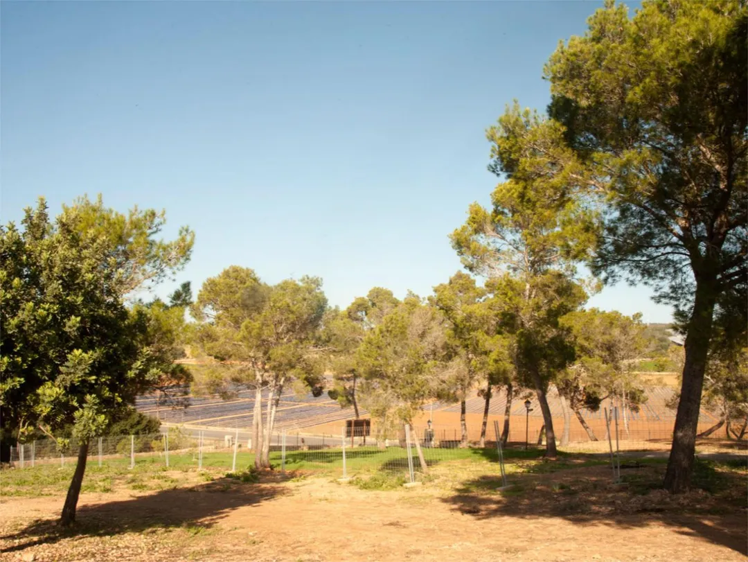 Finca rústica en  Diseminado 8725- Sa Casa Blanca 363 - Foto 5