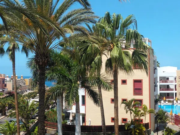 Piso en Calle los Falcones, 3, Palm Mar, Palm Mar - Foto 2