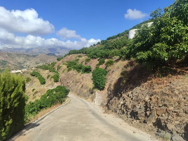 Cortijo en Cortijo en Camino de Río Seco, 36, El Rescate - Río Seco, El Rescate - Río Seco - Foto 30
