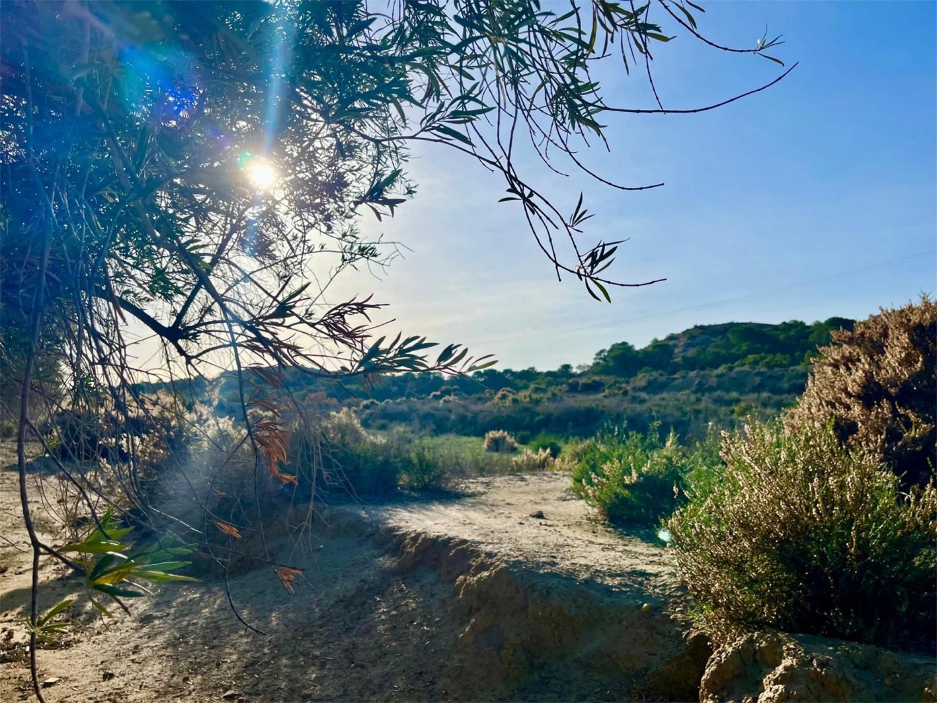 Finca rústica en  Camino Viejo de Saladas 10 - Foto 15