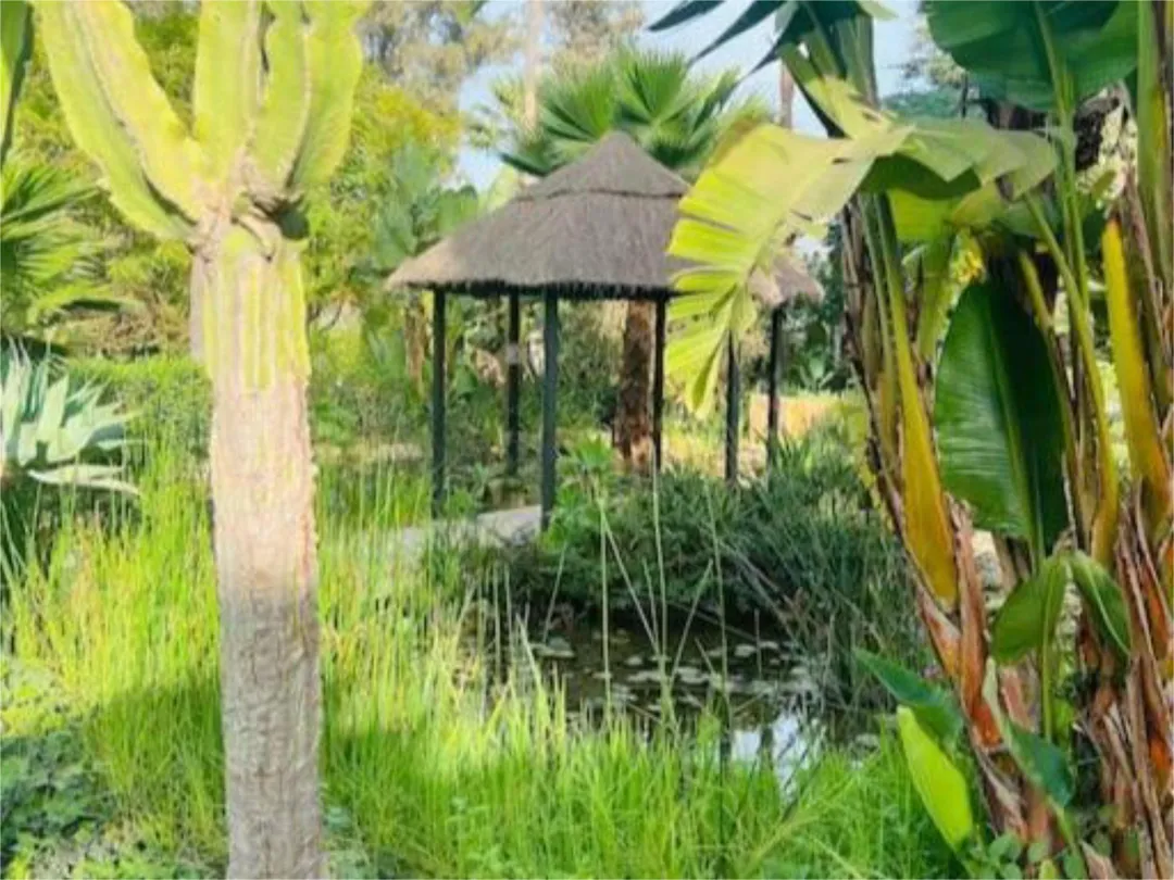 Piso en  Calle Bélgica 4 - Foto 18