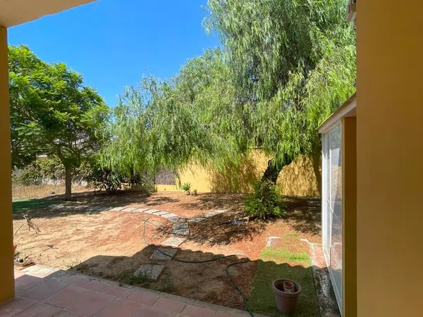 Casa o chalet independiente en Calle Cuatro Pinos, 11, Cuatro Pinos-El Carmen - Foto 3