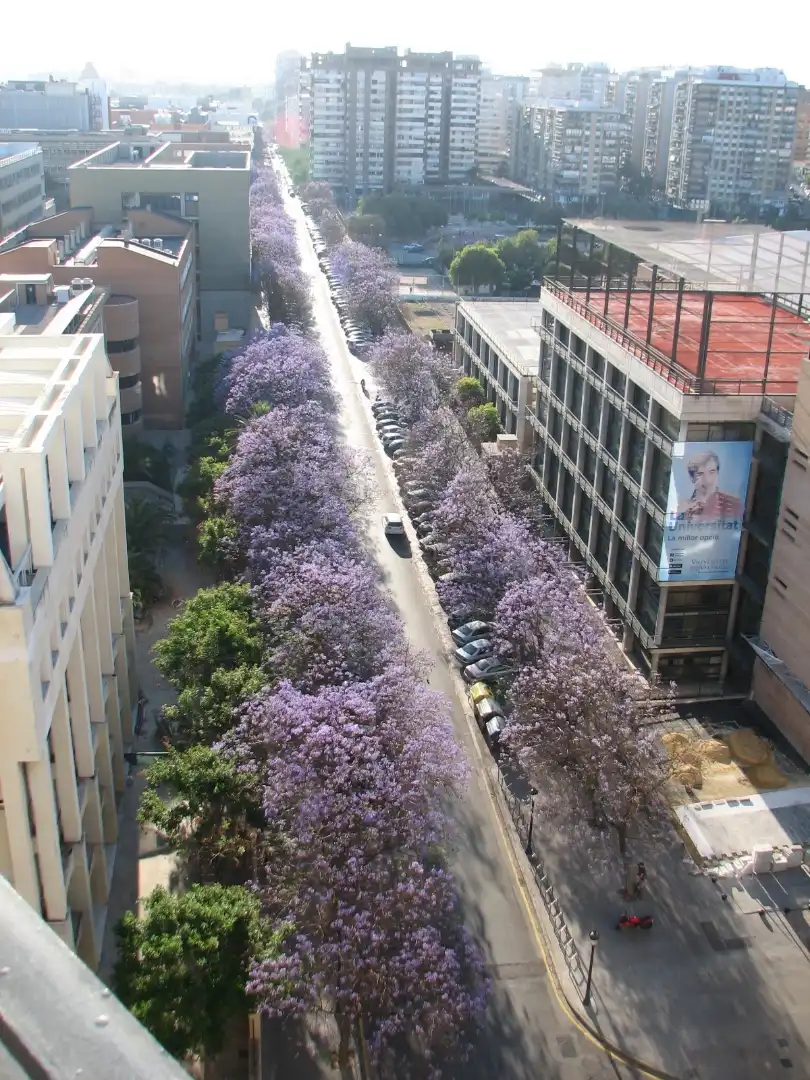 Piso en  Carrer de Gascó Oliag 8 - Foto 5