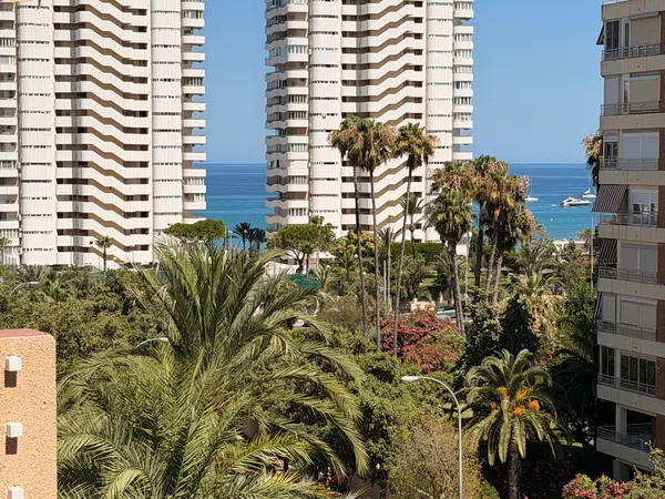 Piso en Avenida Benidorm, 12, Playa de San Juan - Foto 1