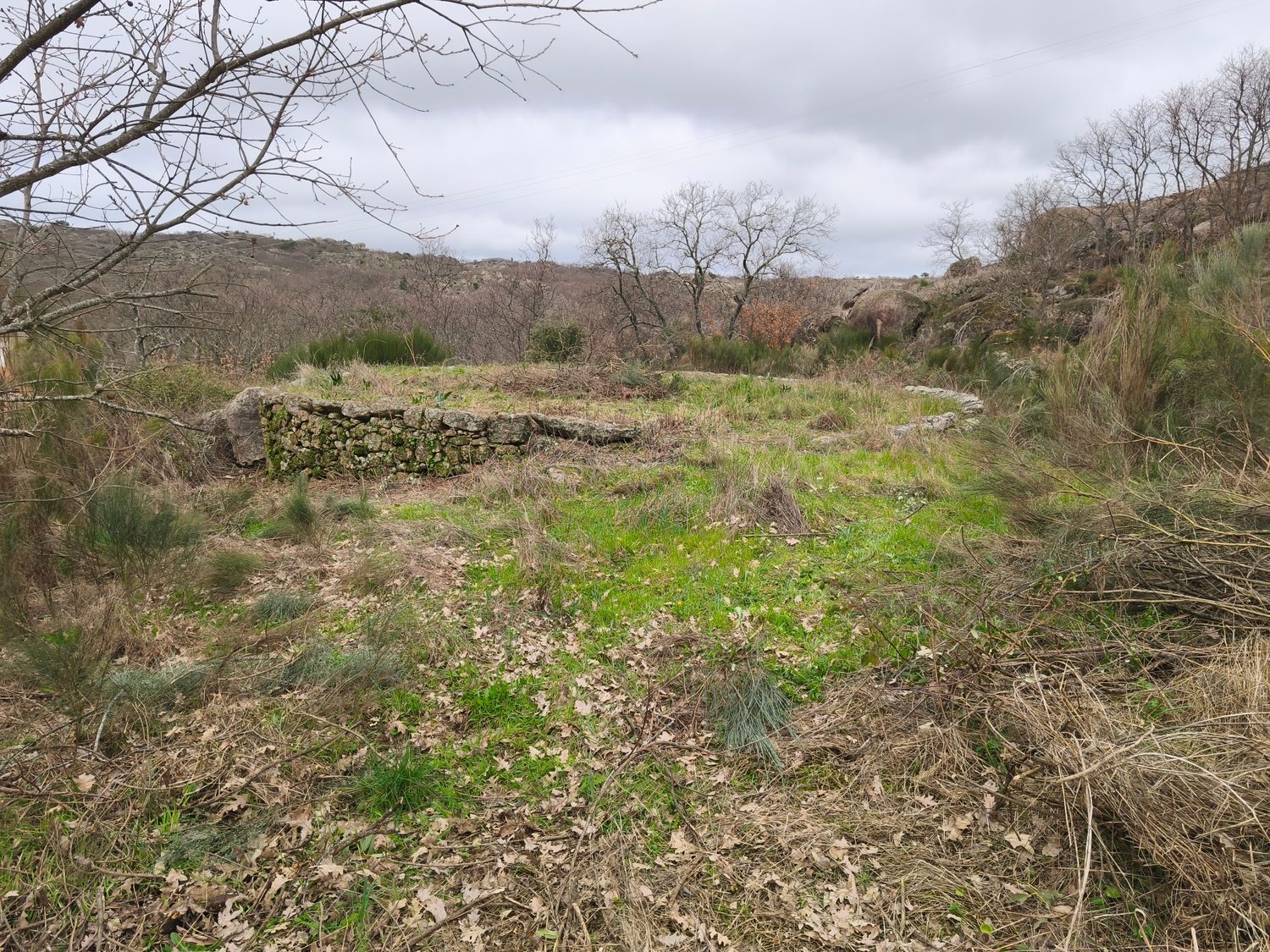 Finca rústica en Poblado los Arroyos de Abajo, 39 poligonoparcela - Foto 31