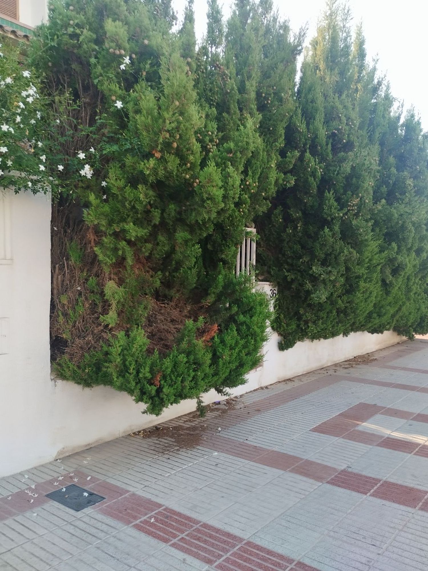 Chalet adosado en Avenida de la Font, 36, Can Nicolau - Les Sorres - Valparaiso, Can Nicolau - Les Sorres - Valparaiso - Foto 3