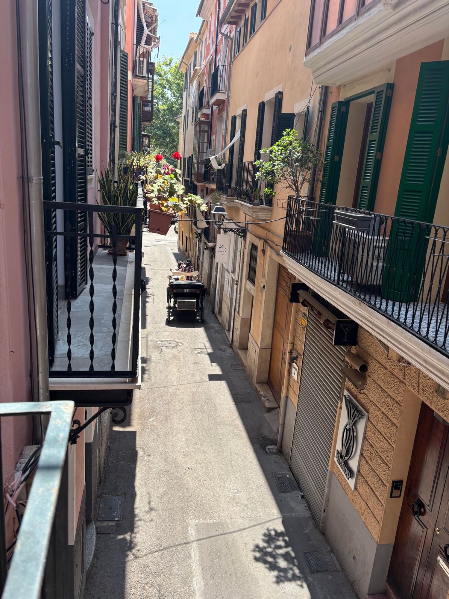 Piso en Calle de Vallseca, 16, La Llotja - Foto 2