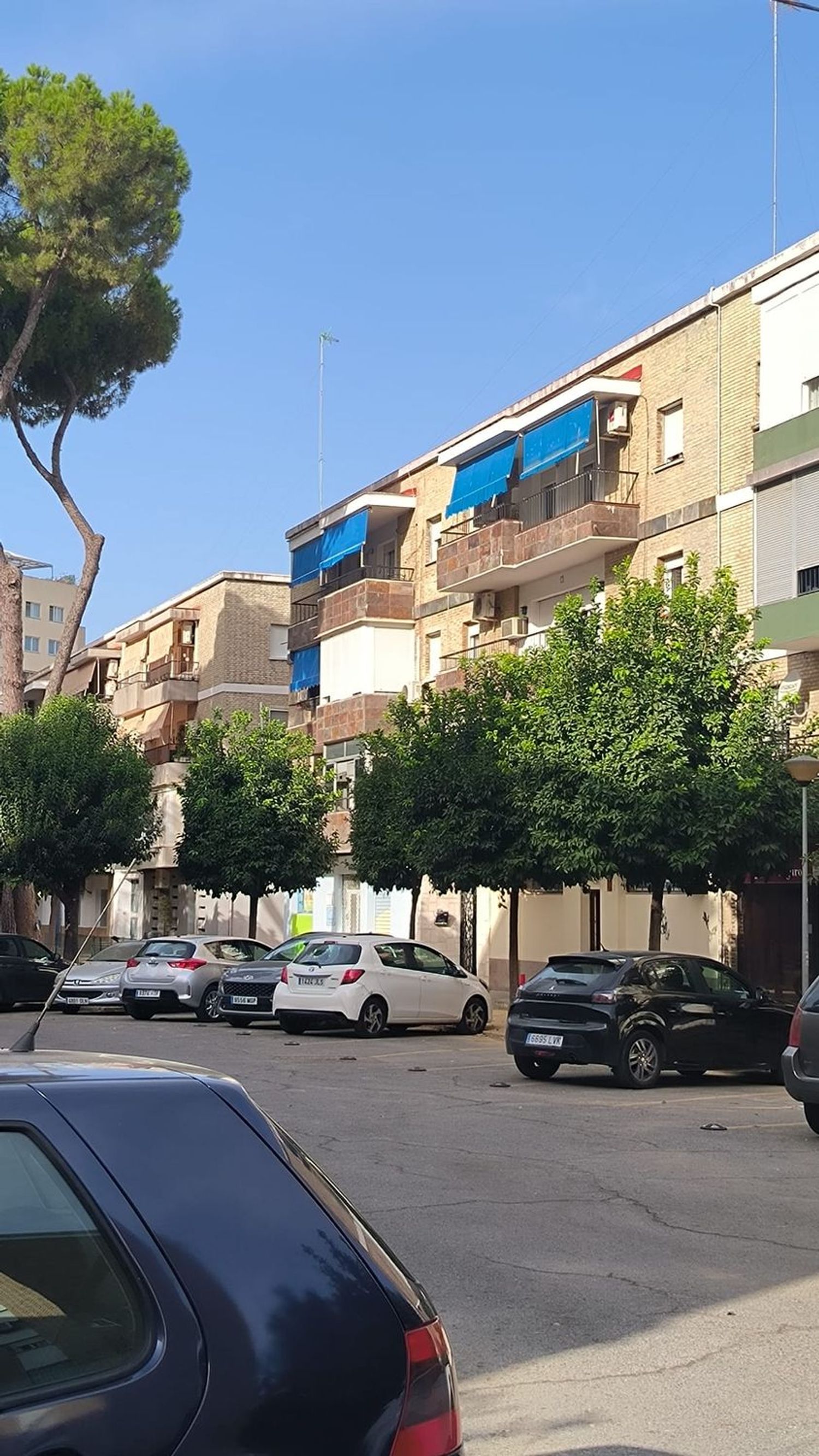 Piso en plaza Pintor Amalio García del Moral, 4 - Foto 35