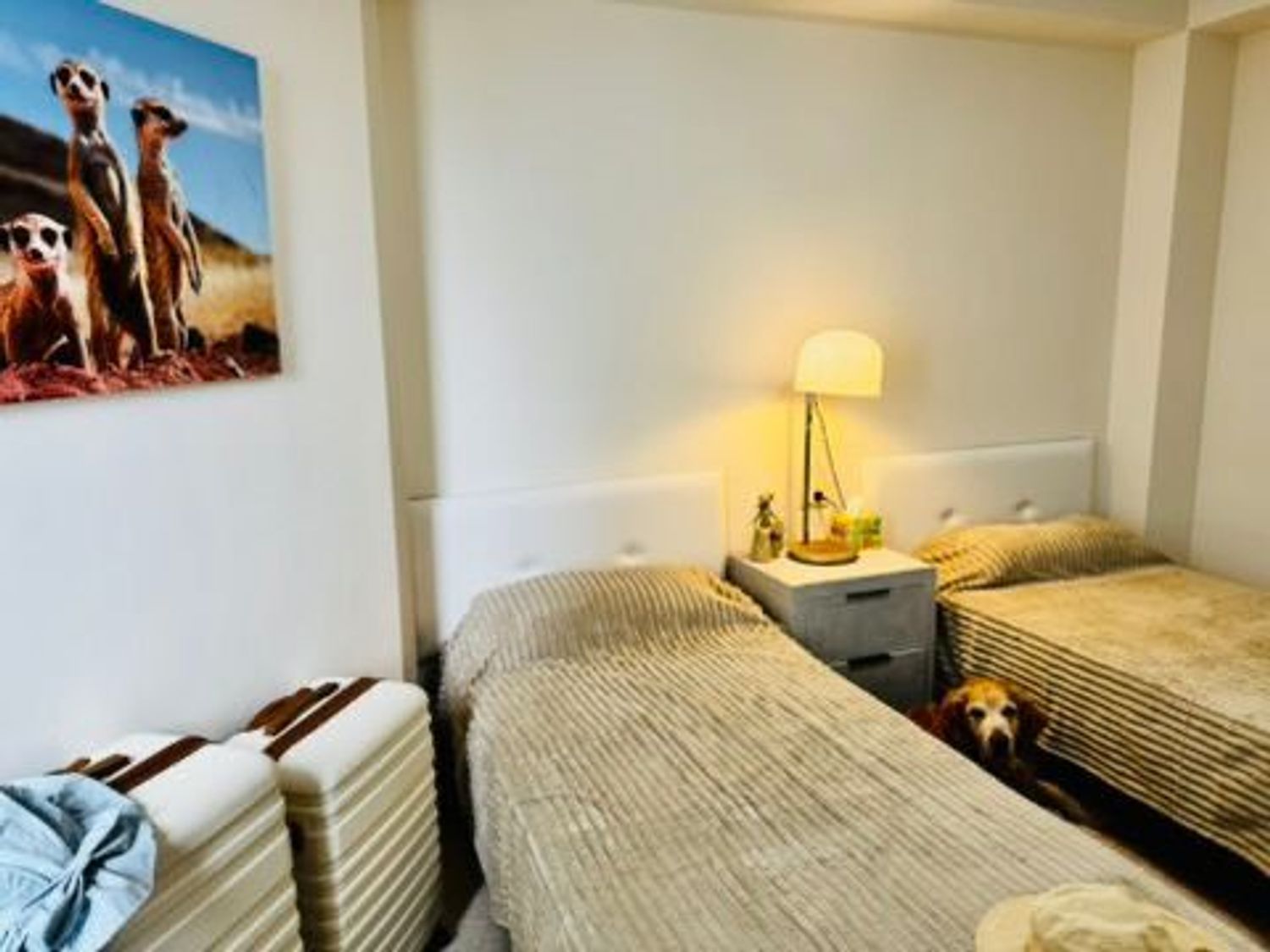Piso en Avenida Mediterrània, 21, Zona Playa, Zona Playa - Foto 13