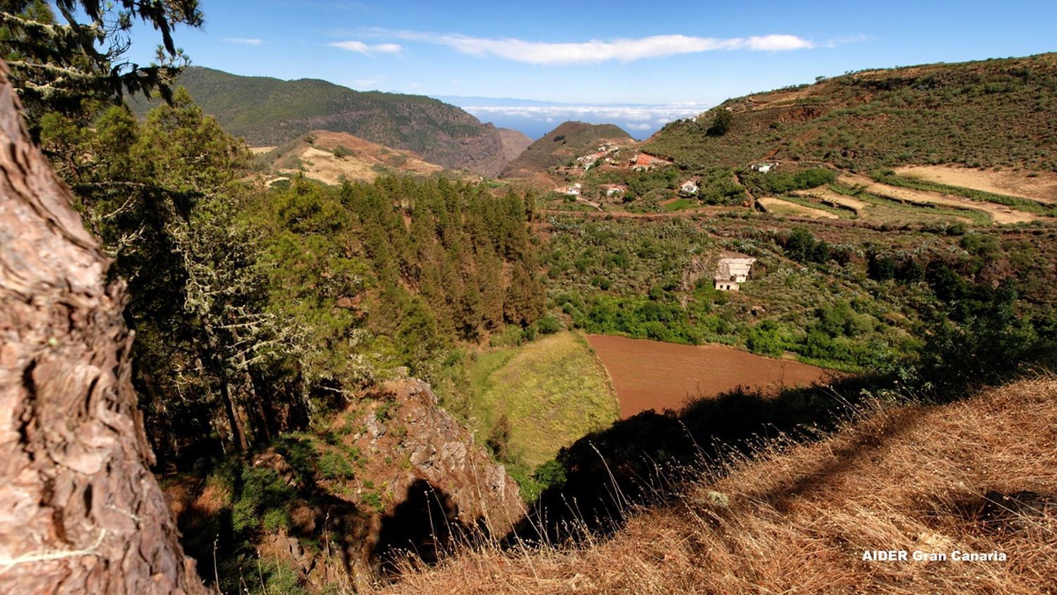 Casa rural en Camino Palominos Fagagesto s/n, Saucillo-Fagajesto-Juncalillo, Saucillo-Fagajesto-Juncalillo - Foto 34
