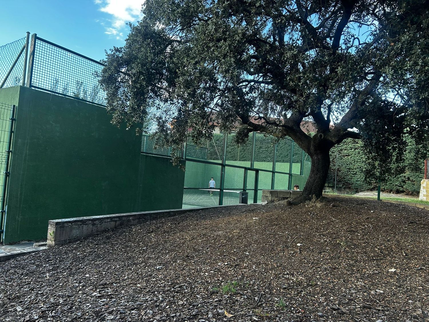 Chalet adosado en Avenida de Sóller, 11, El Pinar- Punta Galea - Foto 37