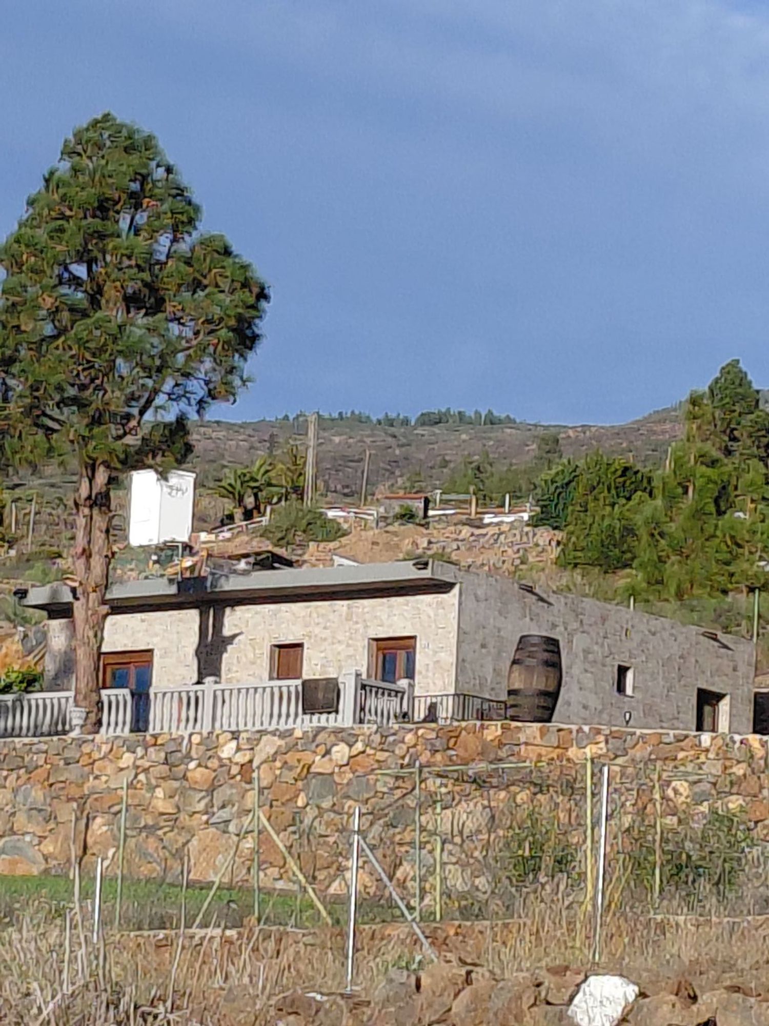 Casa o chalet independiente en Calle Cercado del Pino, 101, Tijoco, Tijoco - Foto 2