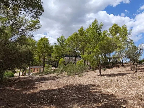 Casa o chalet independiente en Rafal aixat s/n - Foto 18