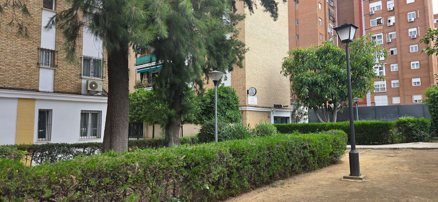Piso en Plaza Doctor González Gramage, 4 - Foto 7