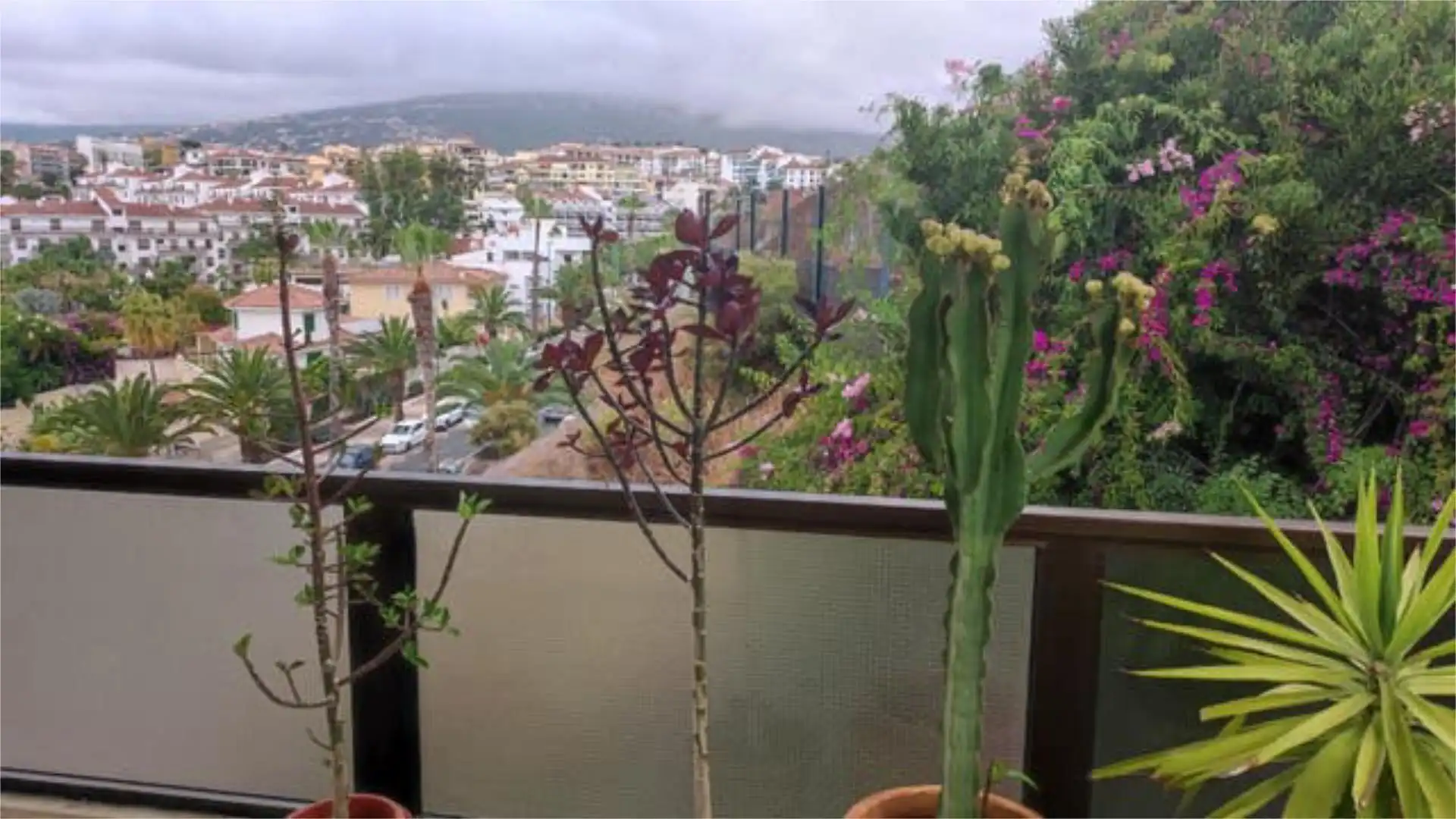 Apartamento en Botánico - Foto 5