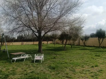 Finca rústica en  Camino Alcornocal 361 - Foto 20