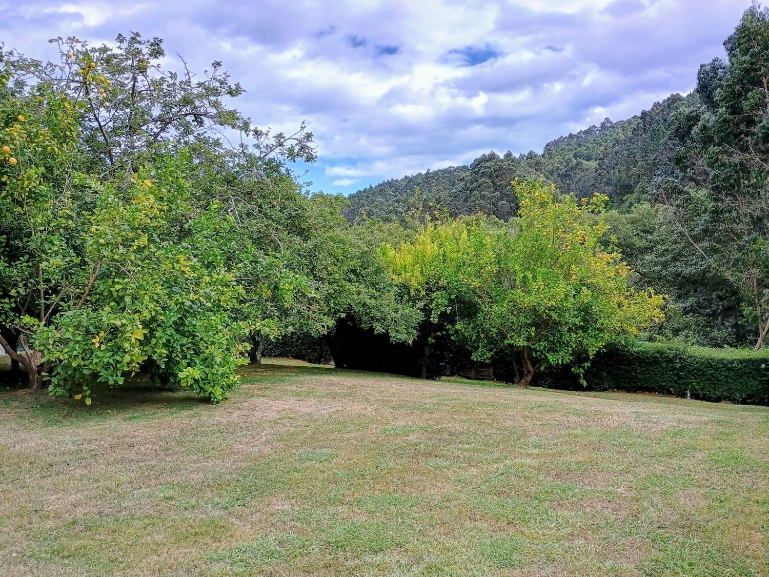 Casa rural en Camín del Tayu, 13 - Foto 34