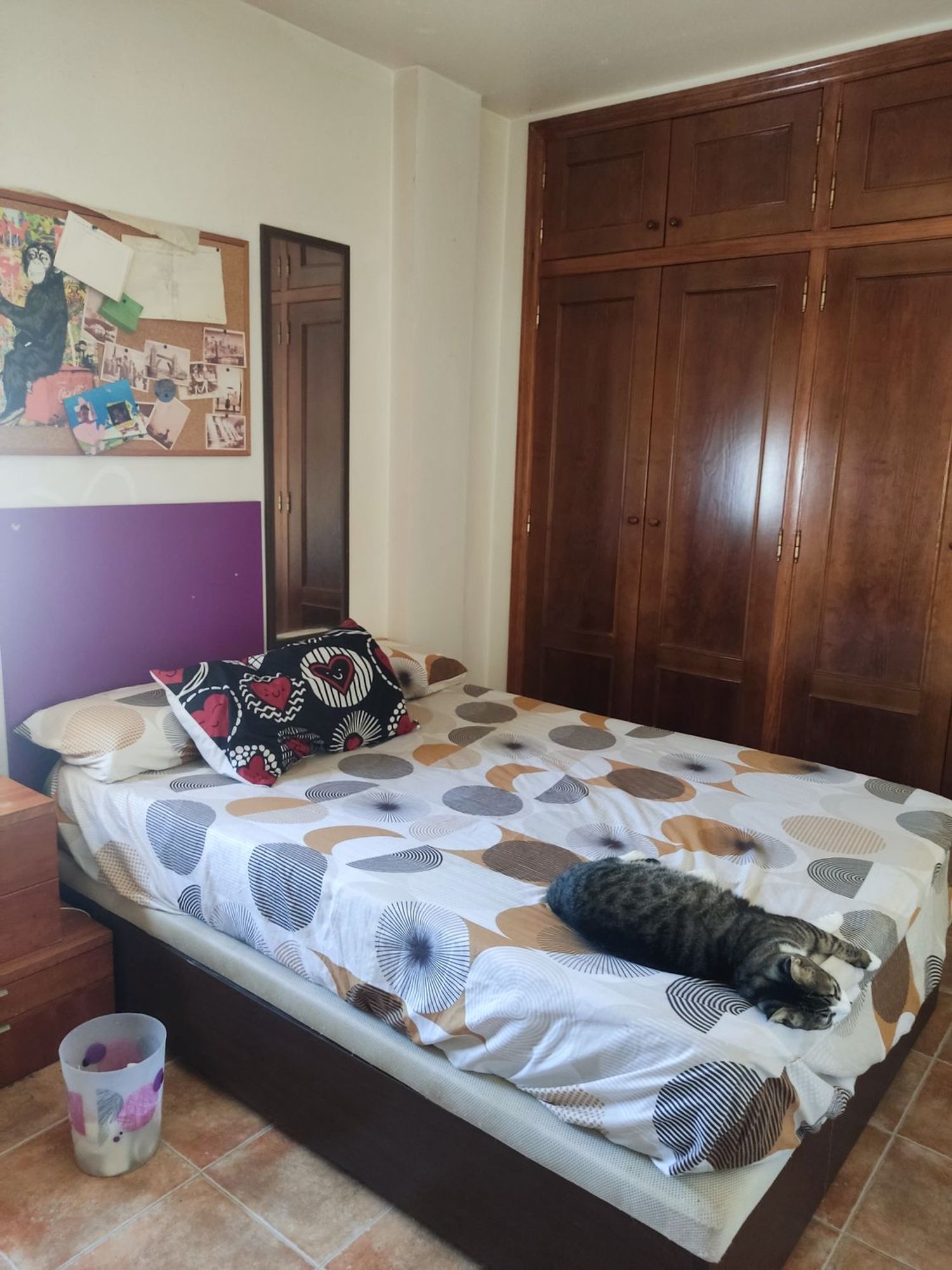 Piso en Calle Robles, 29, Centro, Centro - Foto 3