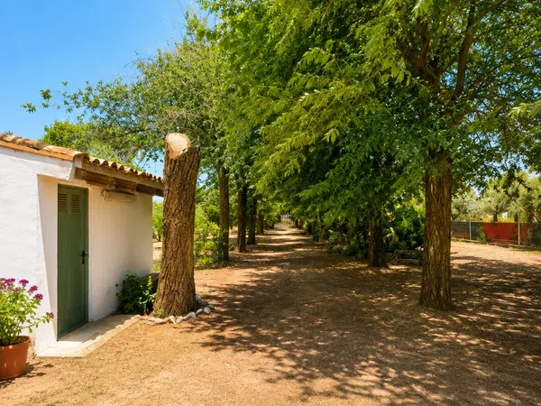 Casa o chalet independiente en N-301 s/n - Foto 12