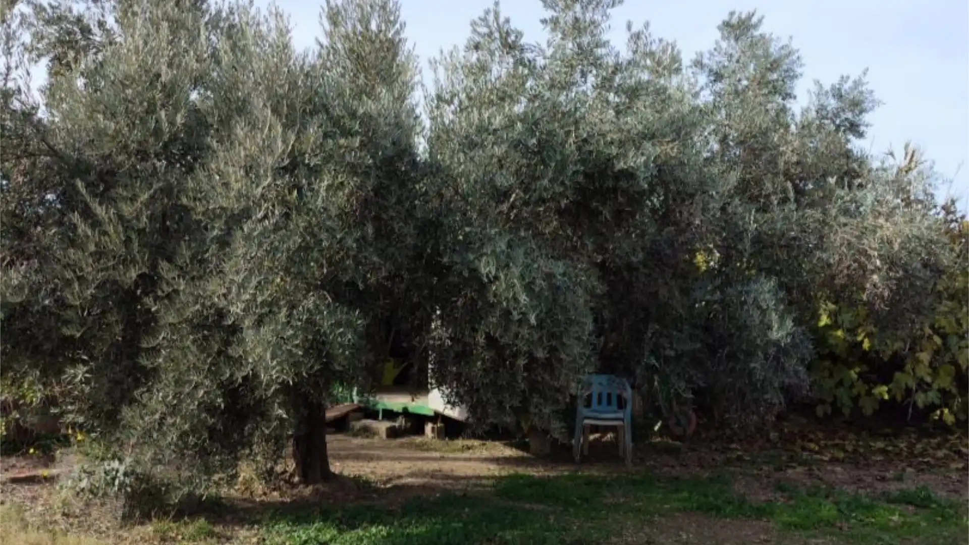 Chalet en  Camino de Cascajales 23 - Foto 23