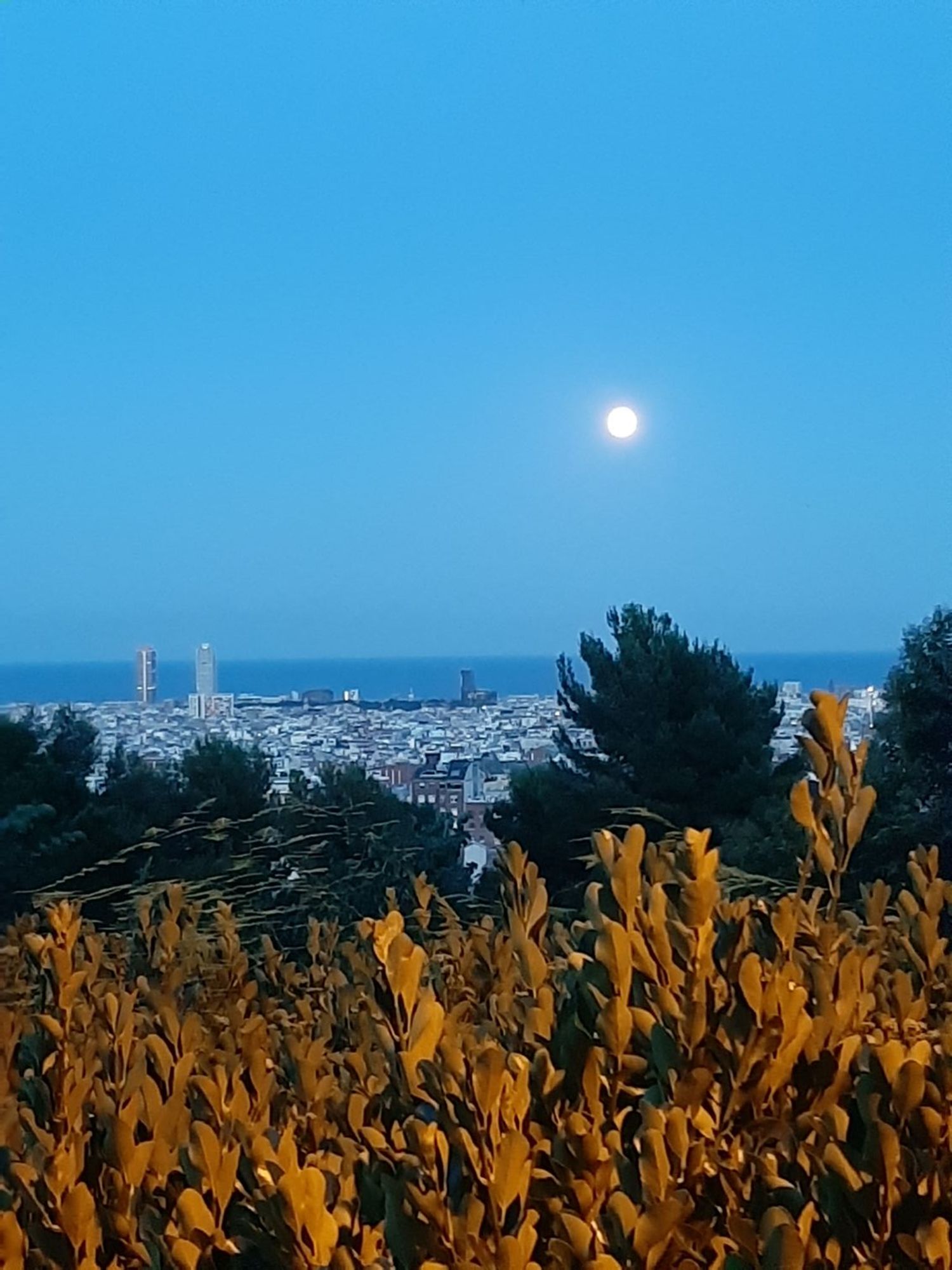 Piso en calle d'Homer, 61 -63 - Foto 18