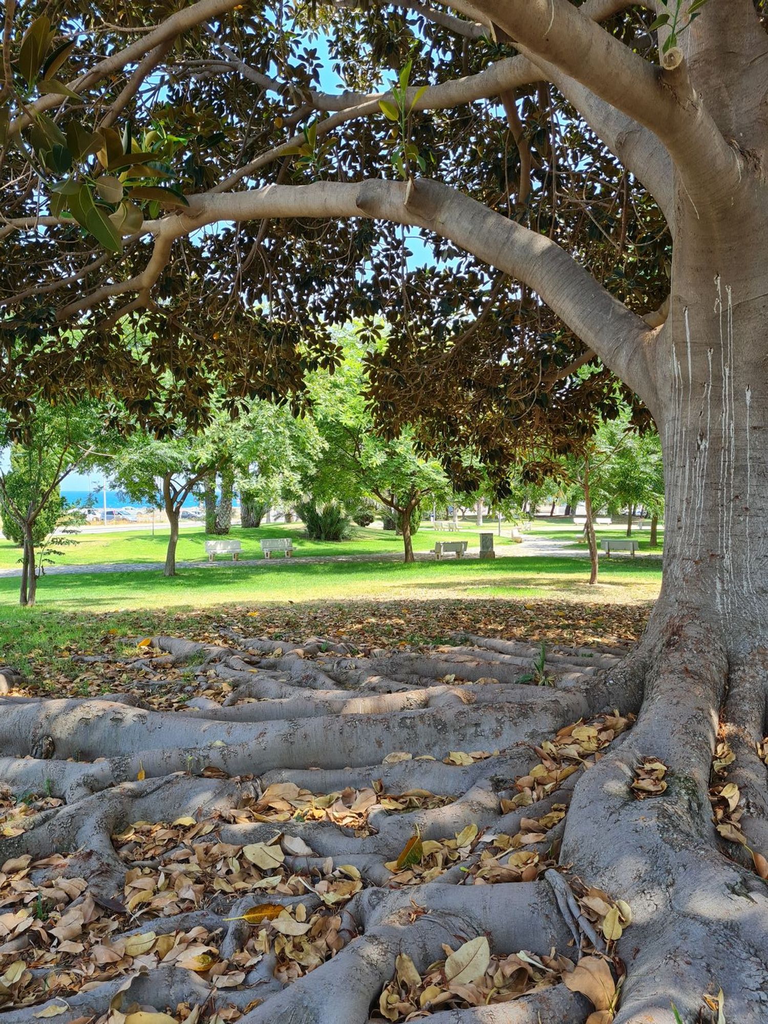 Piso en camino de Fondo, 3 - Foto 16