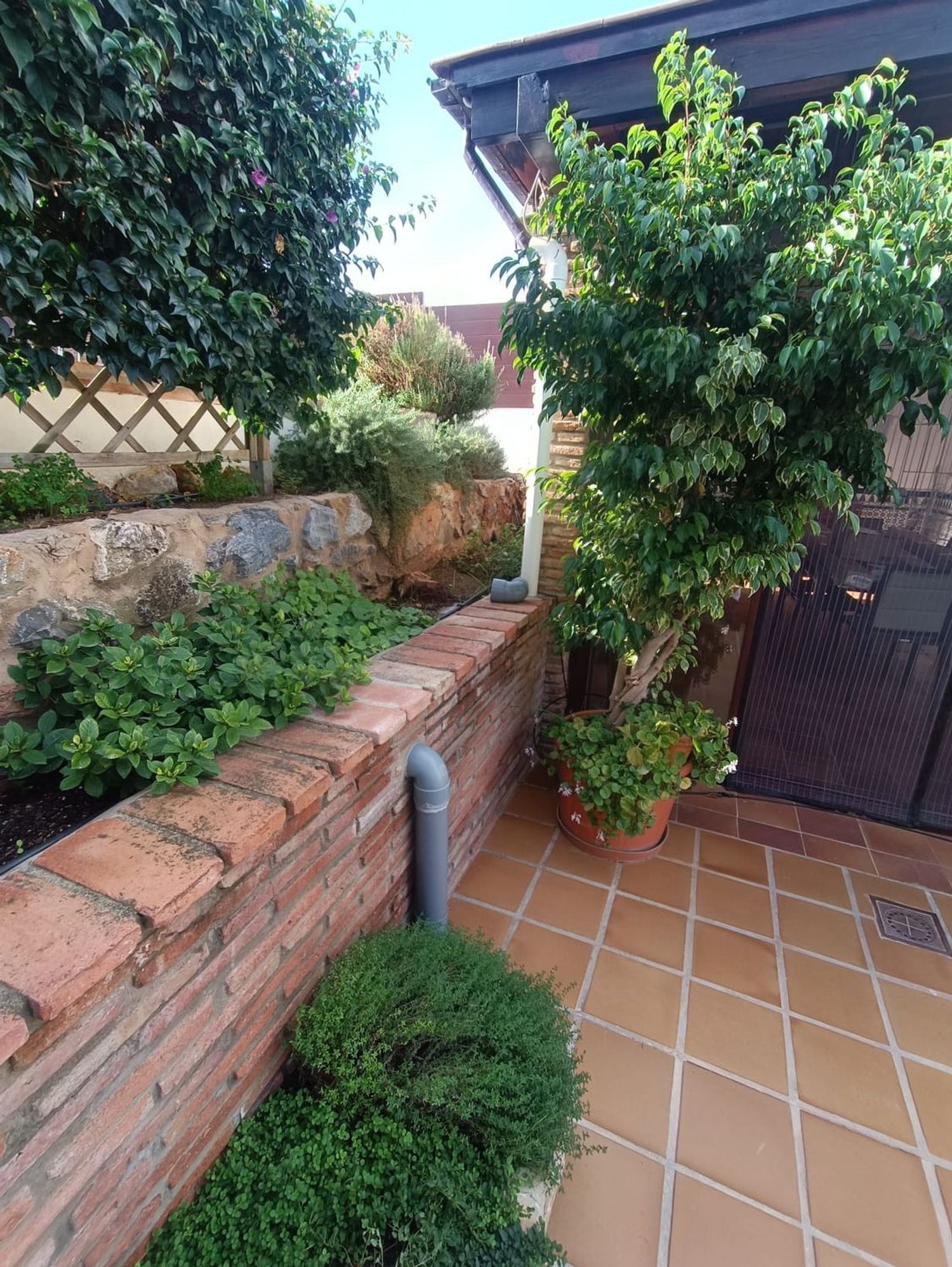 Chalet pareado en Manantiales - Lagar - Cortijo - Foto 35
