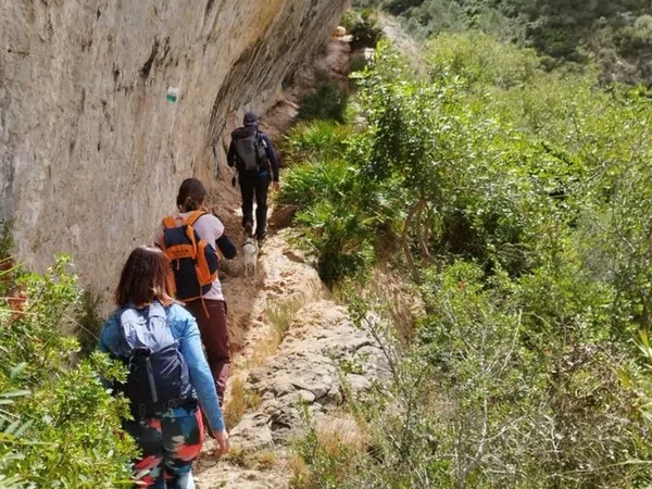 Chalet adosado en Corbera - Foto 14