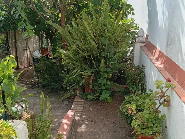 Finca rústica en Calle Galdames, 108, Ayamonte Pueblo, Ayamonte Pueblo - Foto 10