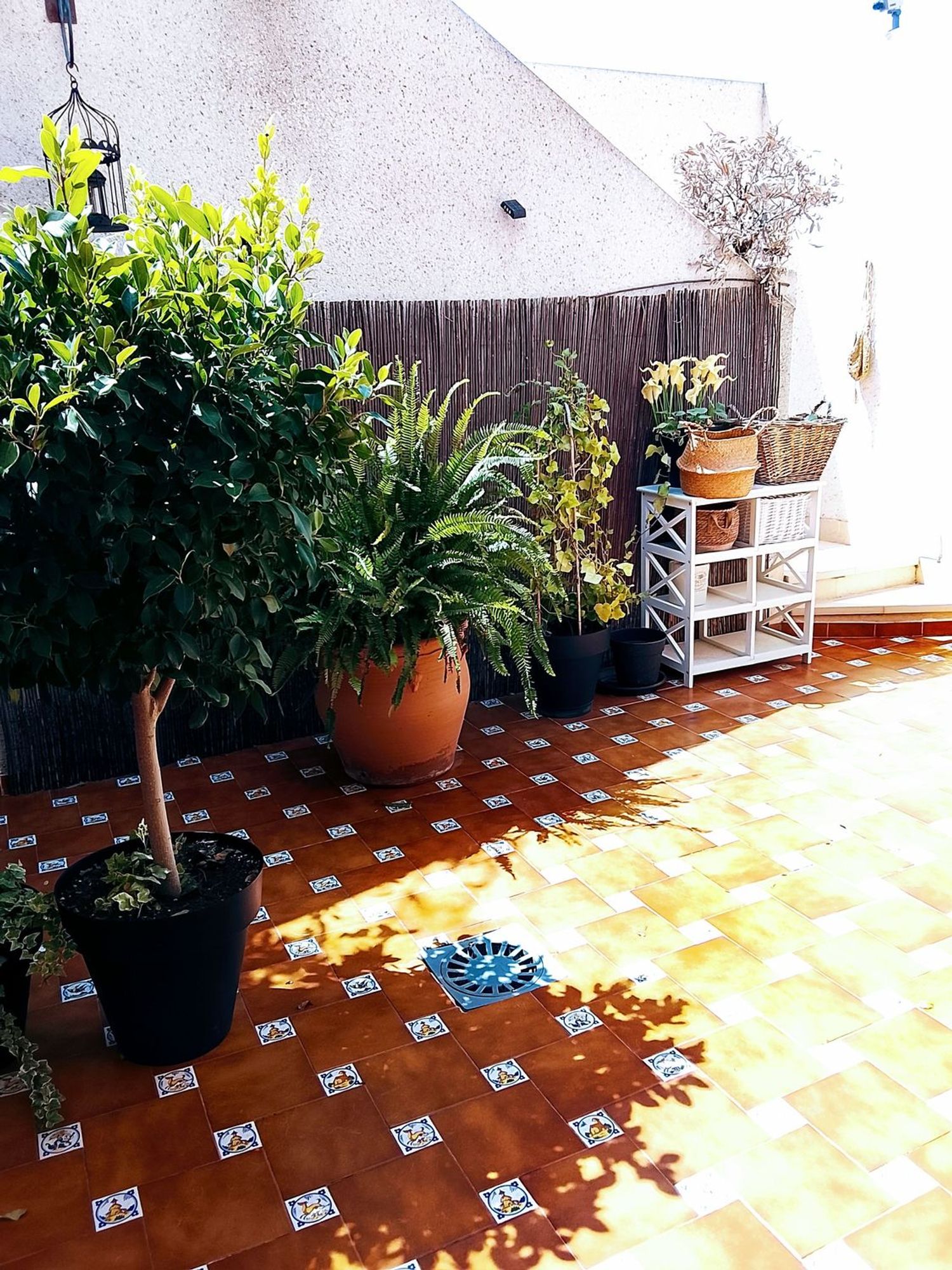 Chalet adosado en Calle Cinabrio, 6, Benimar, Benimar - Foto 26