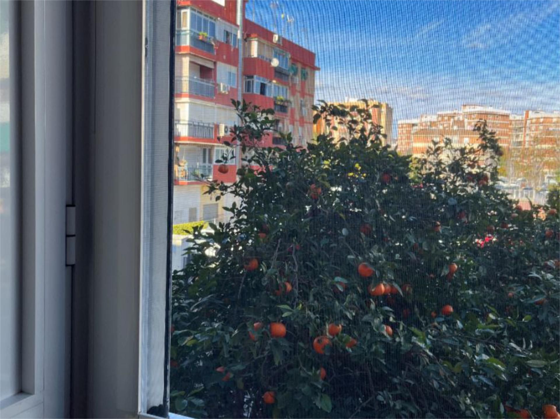 Piso en  Levante 2 - Foto 26