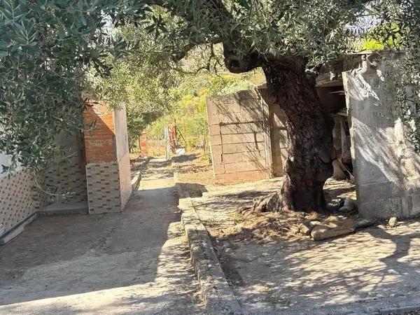 Finca rústica en Bovalar, 442, Zona Papa Luna, Zona Papa Luna - Foto 14