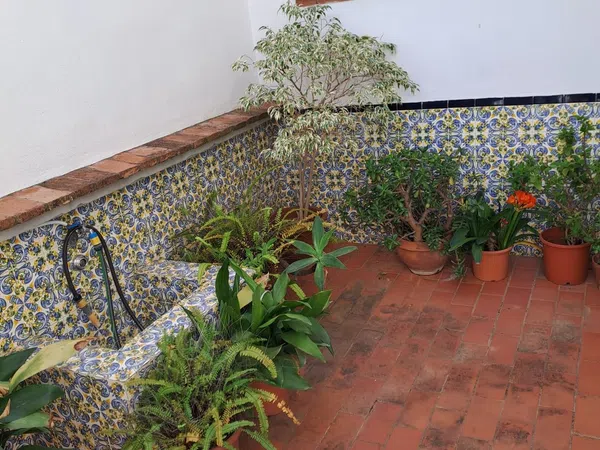 Casa o chalet independiente en Calle Gabriel y Galán, 9, Pedregalejo - Morlaco - Foto 20