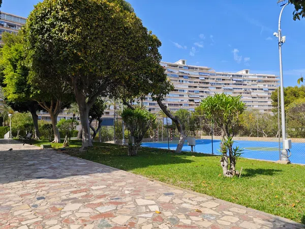 Piso en Avenida Benidorm, 18, Playa de San Juan - Foto 20