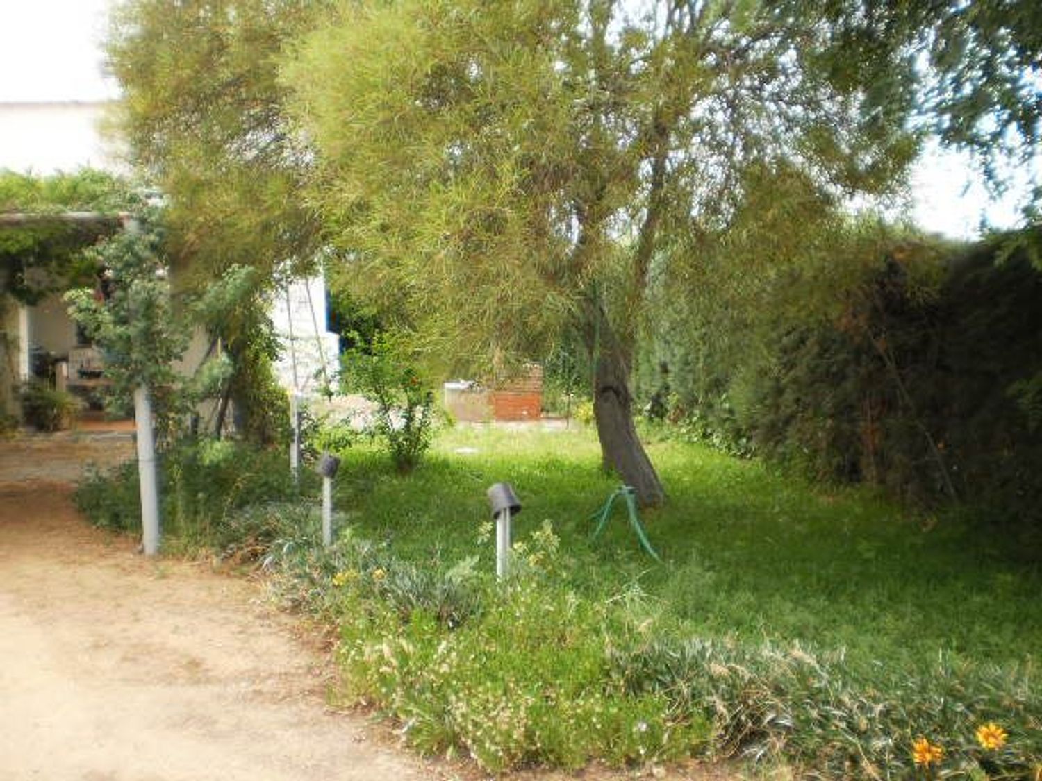 Cortijo en Ba-012 s/n - Foto 3