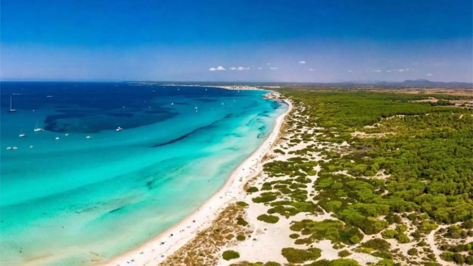 Piso en Llucmajor - Foto 17