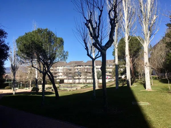 Piso en calle Isla de Lobeira, 2 - Foto 25