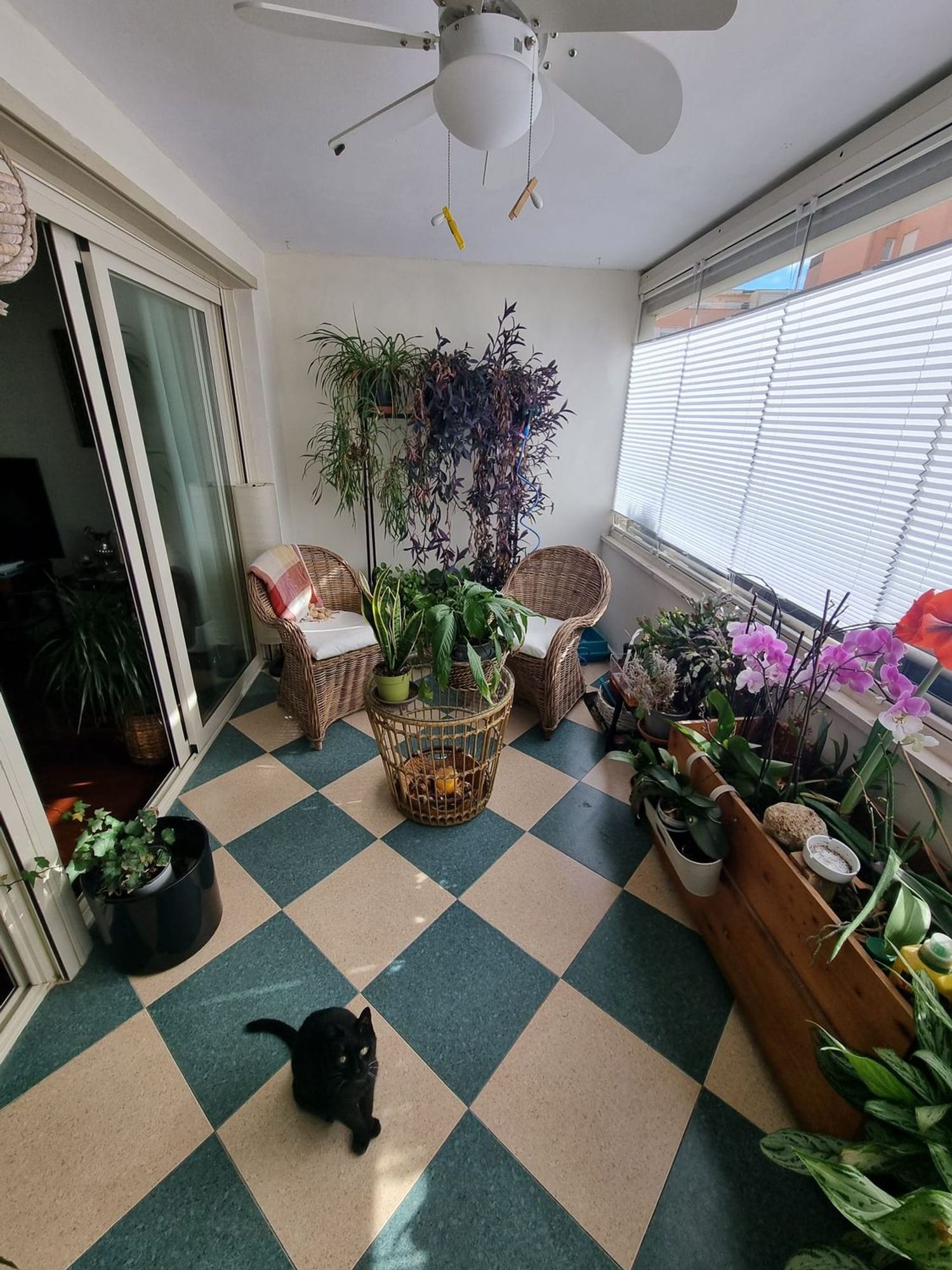 Piso en paseo de la Alameda de Osuna, 50 - Foto 9