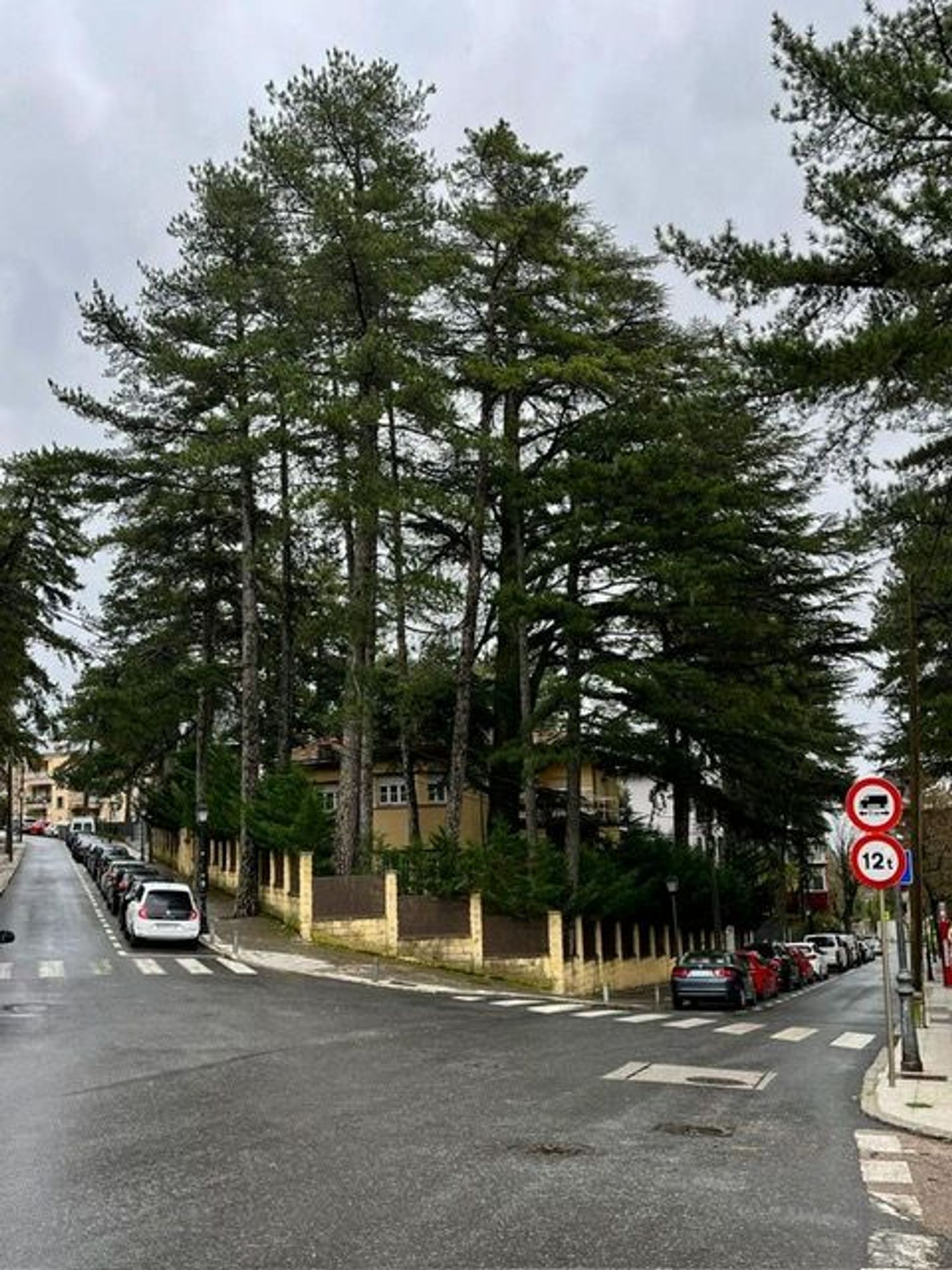 Casa independiente en avenida Carlos Ruiz, 6 - Foto 3