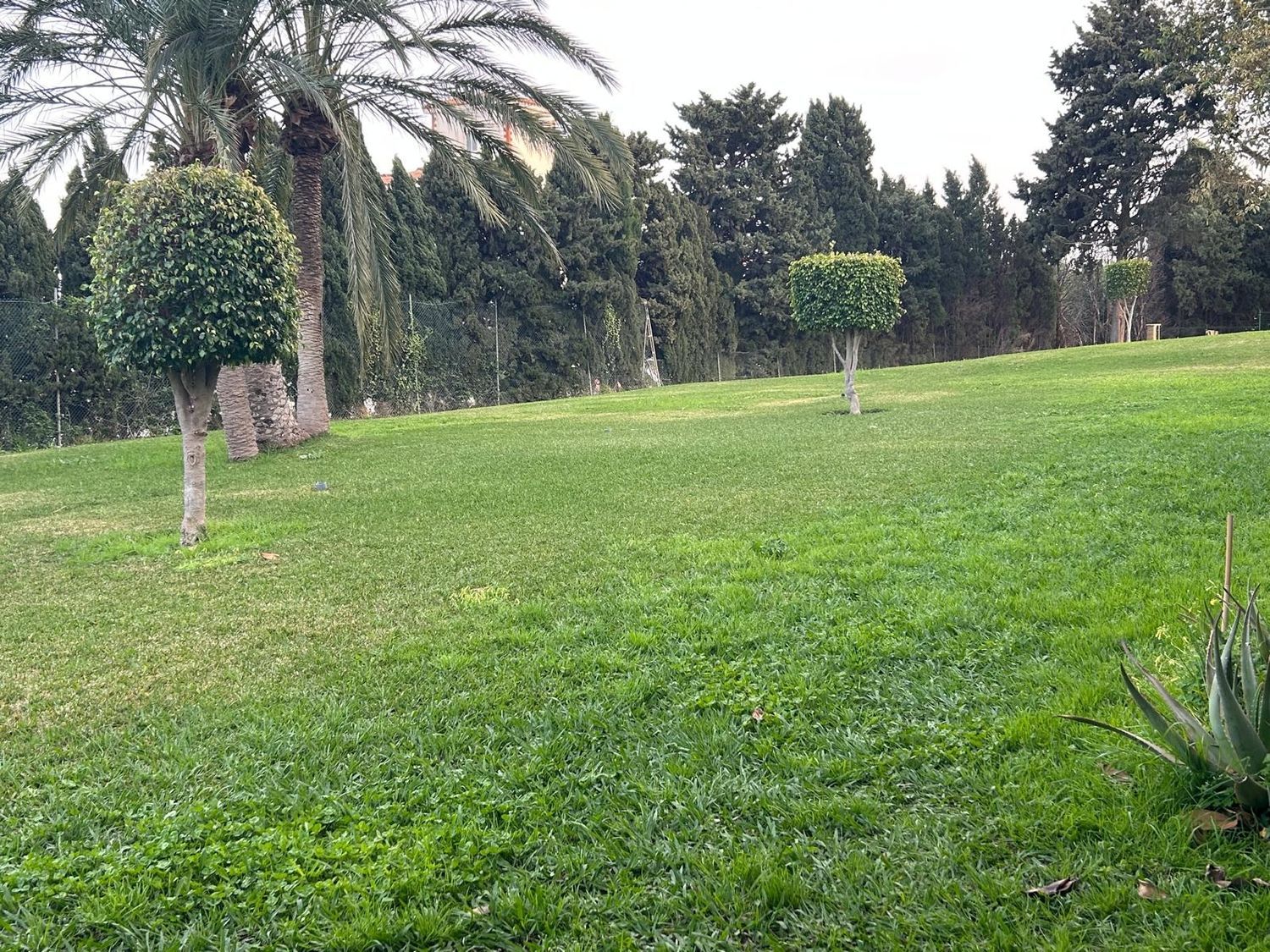 Piso en La colina, 1 - Foto 8