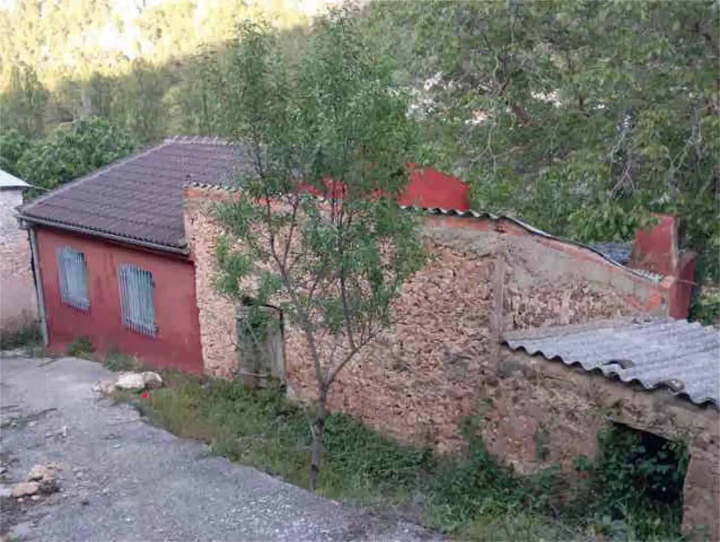 Chalet en río madera de arriba Albacete. - Foto 6